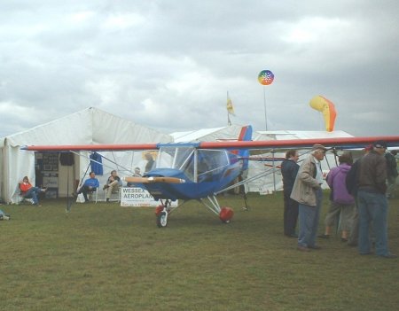 Hawk at Kemble